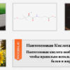 Пантотеновая кислота